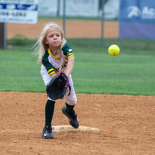 softball-division-2